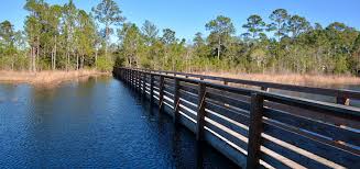 A bridge leading over a river in Geneva, Florida. Geneva, Florida is a location served by Johannessen Lights.