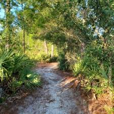 A dirt path winding through the brush and trees in Geneva, Florida. Geneva, Florida is a location served by Johannessen Lights.