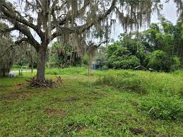A photograph of a swampy area in Osteen, Florida. Osteen, Florida is a location served by Johannessen Lights.