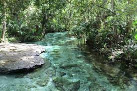 A stream consisting of very pale blue water flowing underneath a tree-line and past a flat rock in Zellwood, Florida. Zellwood, Florida is a location served by Johannessen Lights.